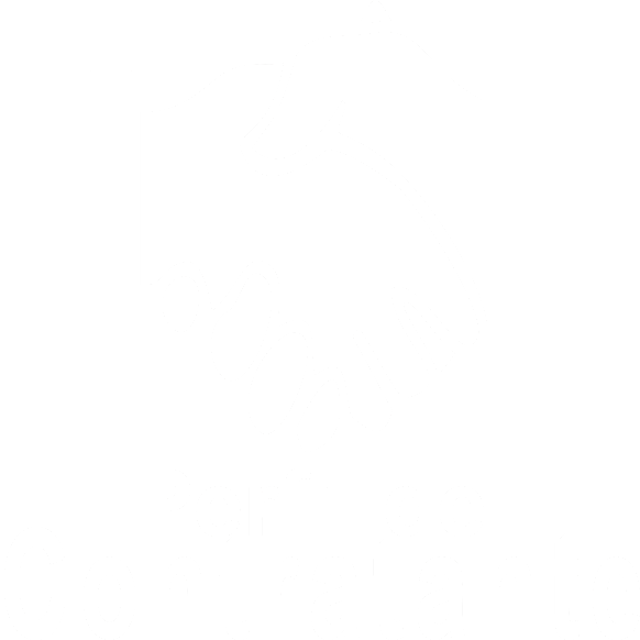 Perfil del Contratante