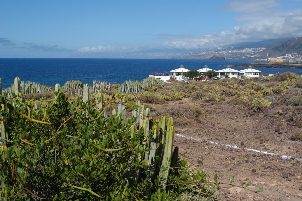 Foto de Costa de Los Silos Tenerife