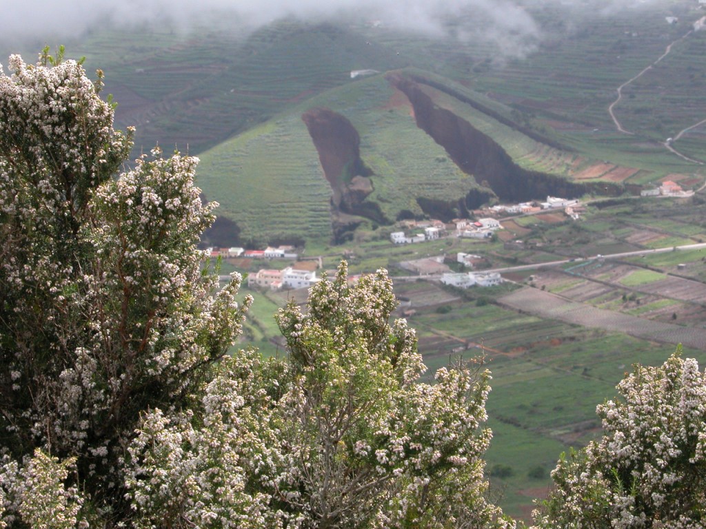 Foto de El Palmar - Parque Rural de Teno Tenerife