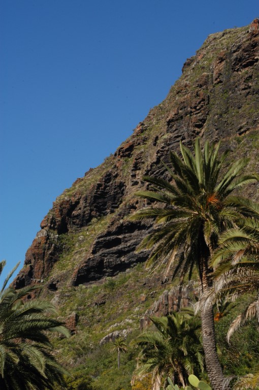 Foto del Sitio de Interés Científico de Interián en Los Silos Tenerife