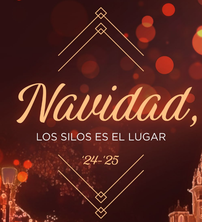 Imagen destacada Programa Navidad