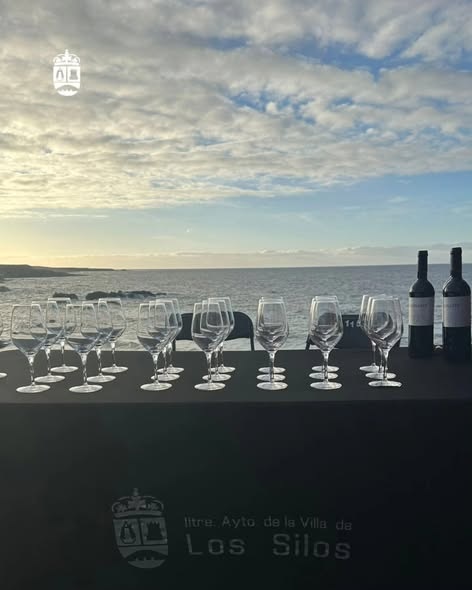 imagen de eno gastro los silos sal y vino